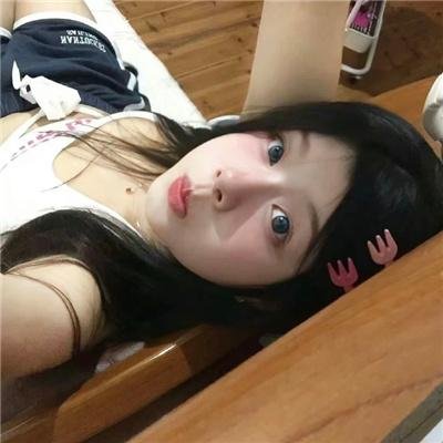 鼩鼱的巢穴